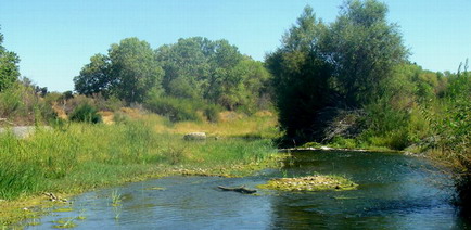 Weed Beds and a riffle, note truck tire pier