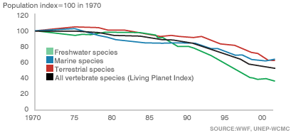 Number of species on the Earth