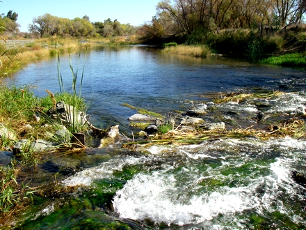 White water on the Little Stinking