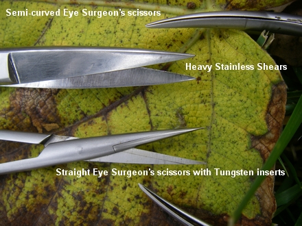 Eye Surgeon’s Scissors, and some German Stainless shears