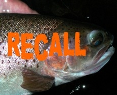 Fish recall