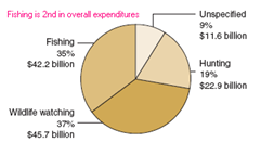 Money spent by the sporting crowd