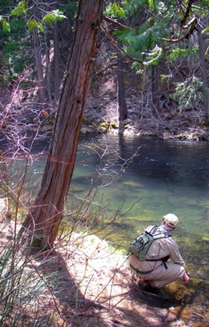 Tom Chandler releases another fish that I can't talk about