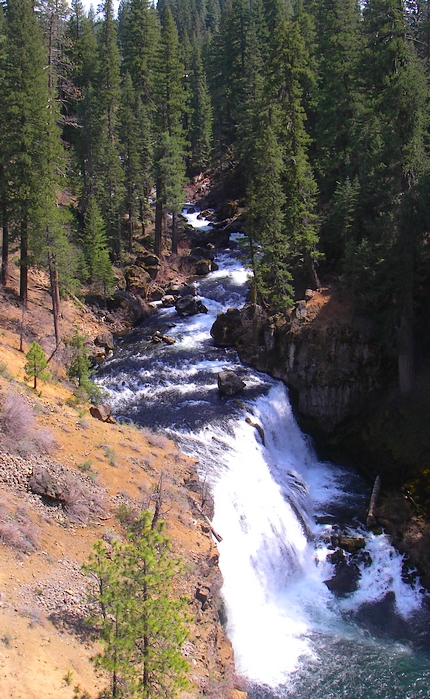 The Upper Falls of the McCloud River