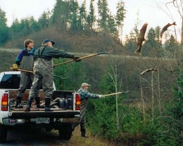 Migration by truck