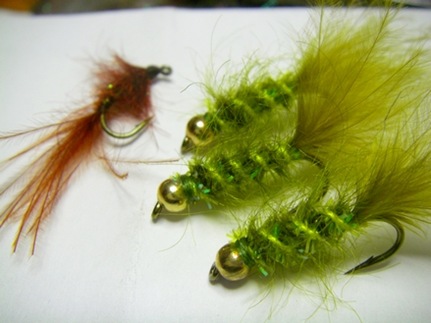 Brown J.Fair Wiggletail and Algae CarpKiller