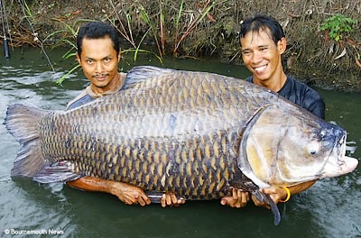 The guy on the right caught it, the smile is the giveaway