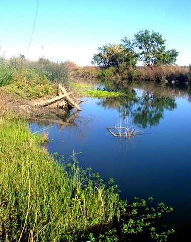 Interstate5_trench