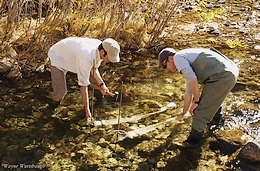 Placing drift nets