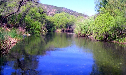 Perfect trout water, cold, clear, big bugs, and no fish