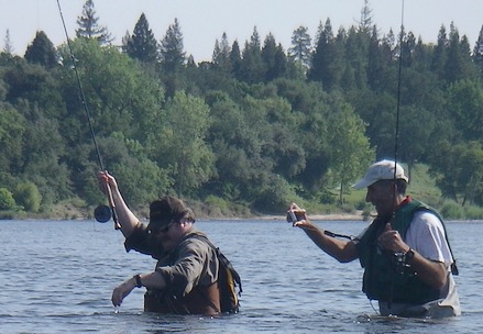 Shad Paparazzi crowding us fishermen