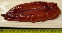 shad roe