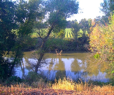 The Spider Slough