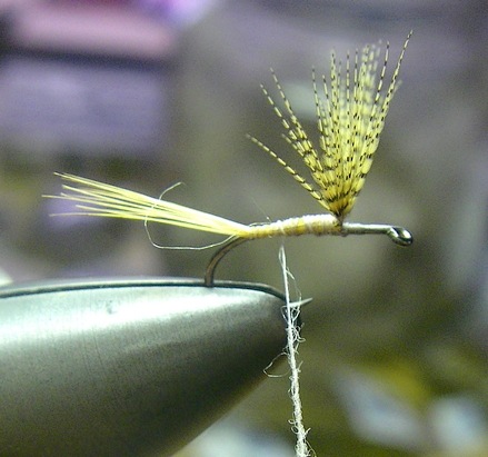 Note the fiber at the tail, about 1/5 the thickness of a single hackle