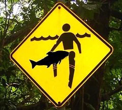 Beware of large ravenous fish