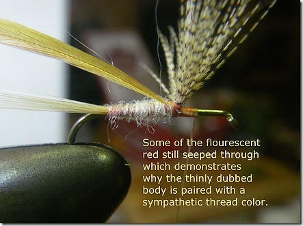 The dubbed body with hackle tied in