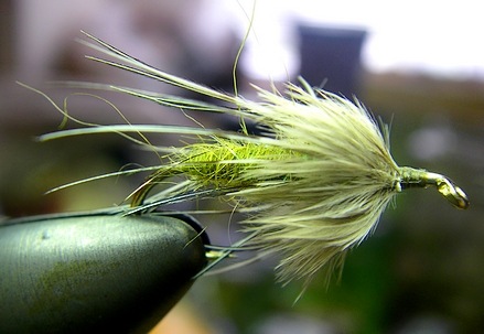 Hackle lays close to the body