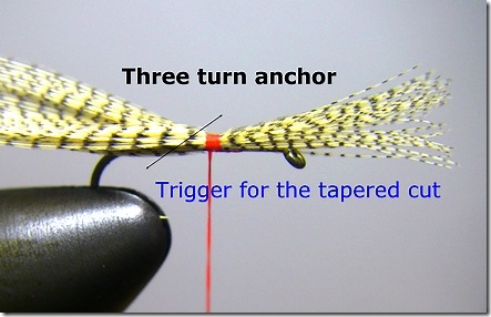 Three Turn Anchor