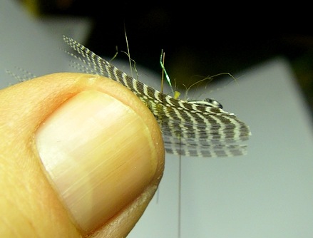 Fibers pressed against the shank, thread poised to move them