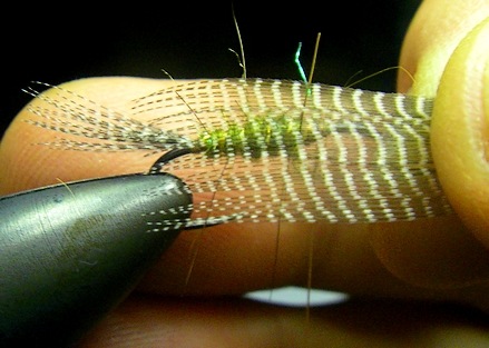 Single segment of feather trimmed from the stem