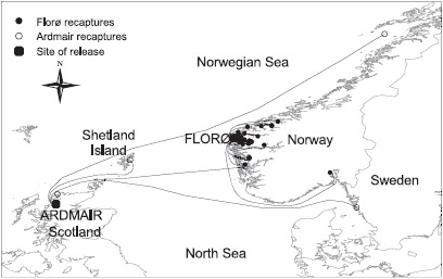 Released and recapture locales