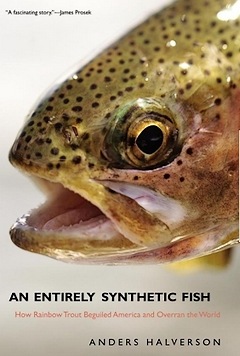 An entirely synthetic fish