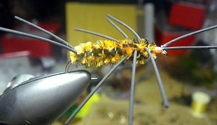 Only the best damn stonefly nymph ever