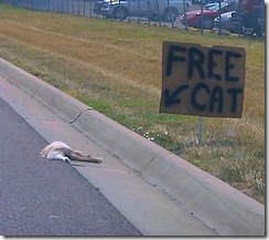 freecat