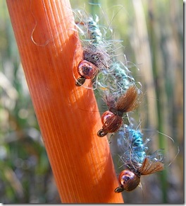 The Blue Fuzzy Caddis