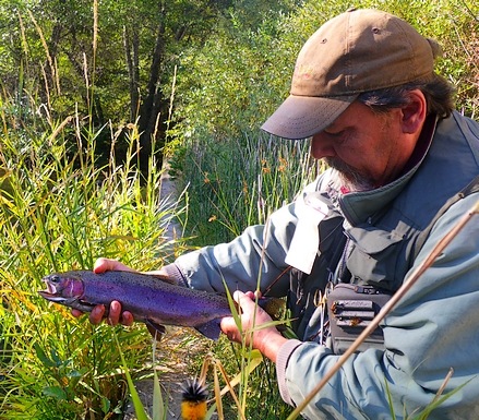 Hat Creek still has 20" fish, but you'll have to dig hard