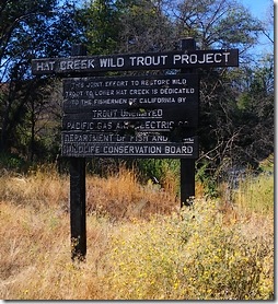 Hat Creek Wild Trout, burned but recognizable