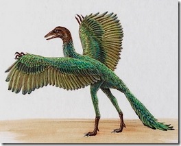 Archaeopteryx