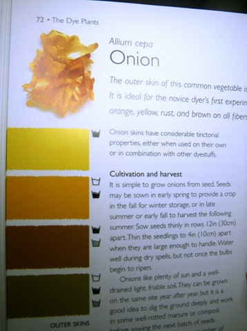 Onion_Skin