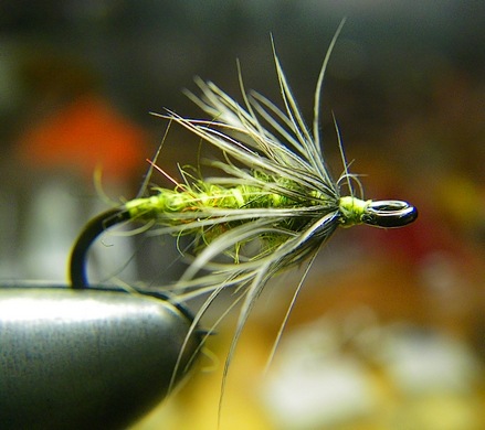 Olive Yellow Flymph