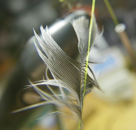 Tiny hackle inserted into dubbing loop