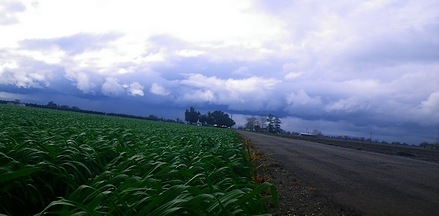 Big dark clouds rolling in