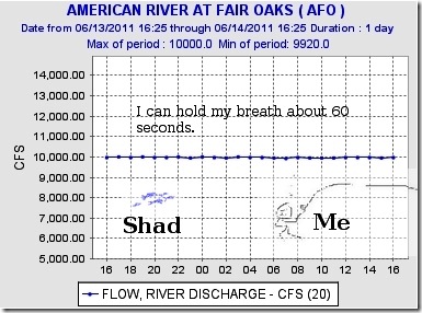 Snow melt all coming at once