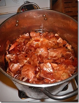 boiled_Onion_Skins