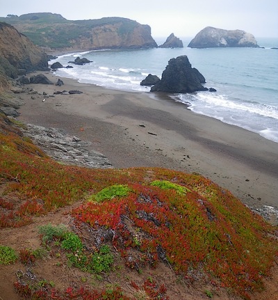 Cronkhite_Beach