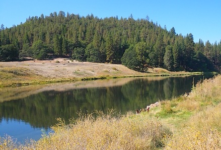 Carbon Bridge, former home to fat and sophisticated spring creek fish