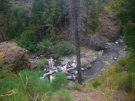 Silver Creek from Highway 4 above