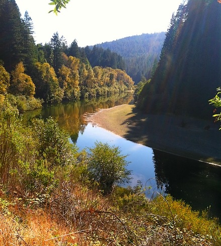 Eel  River at Weott, California