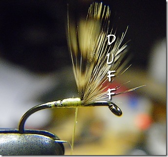 The dreaded hackle wing fiber duff