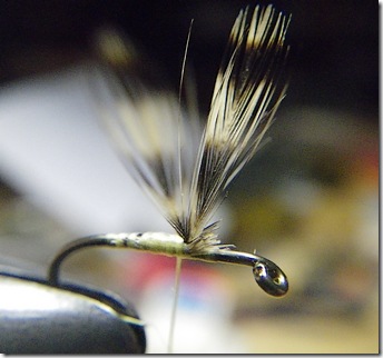 Hackle duff fibers removed