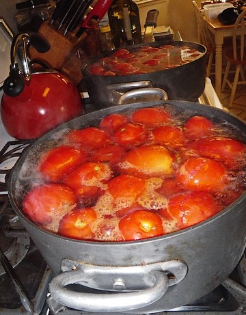 boiling_tomatoes