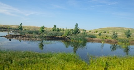 pond1