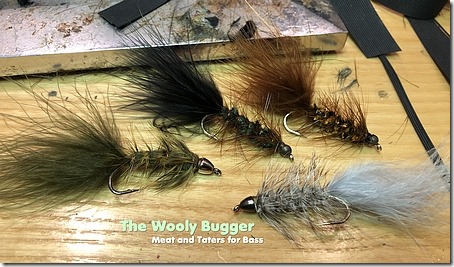 wooly bugger  Singlebarbed