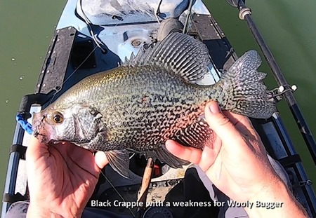 BlackCrappie450