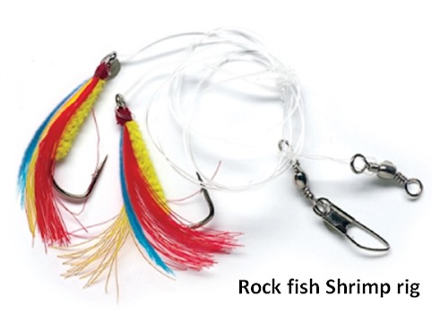 RockfishShrimp500